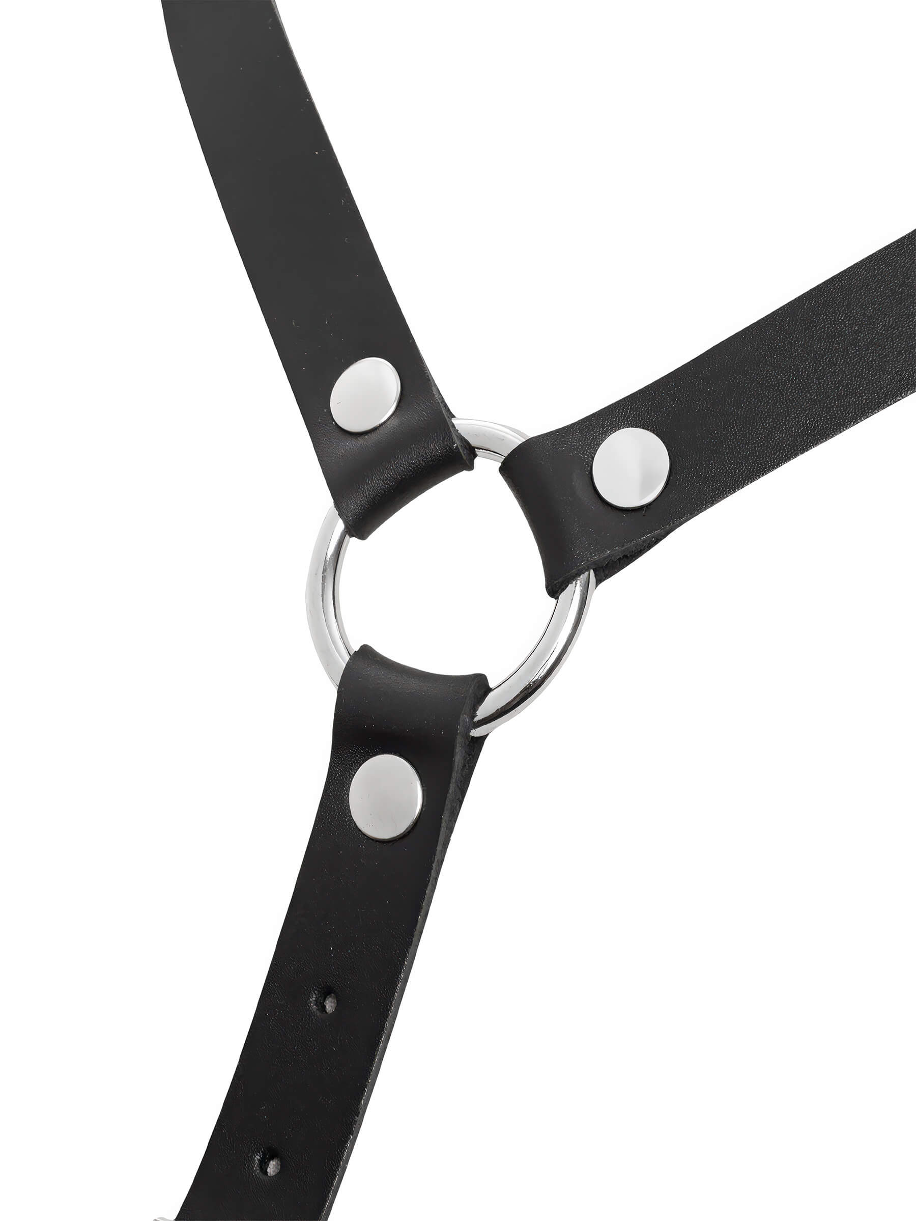 Leder Brustharness mit Halsband – Schwarz