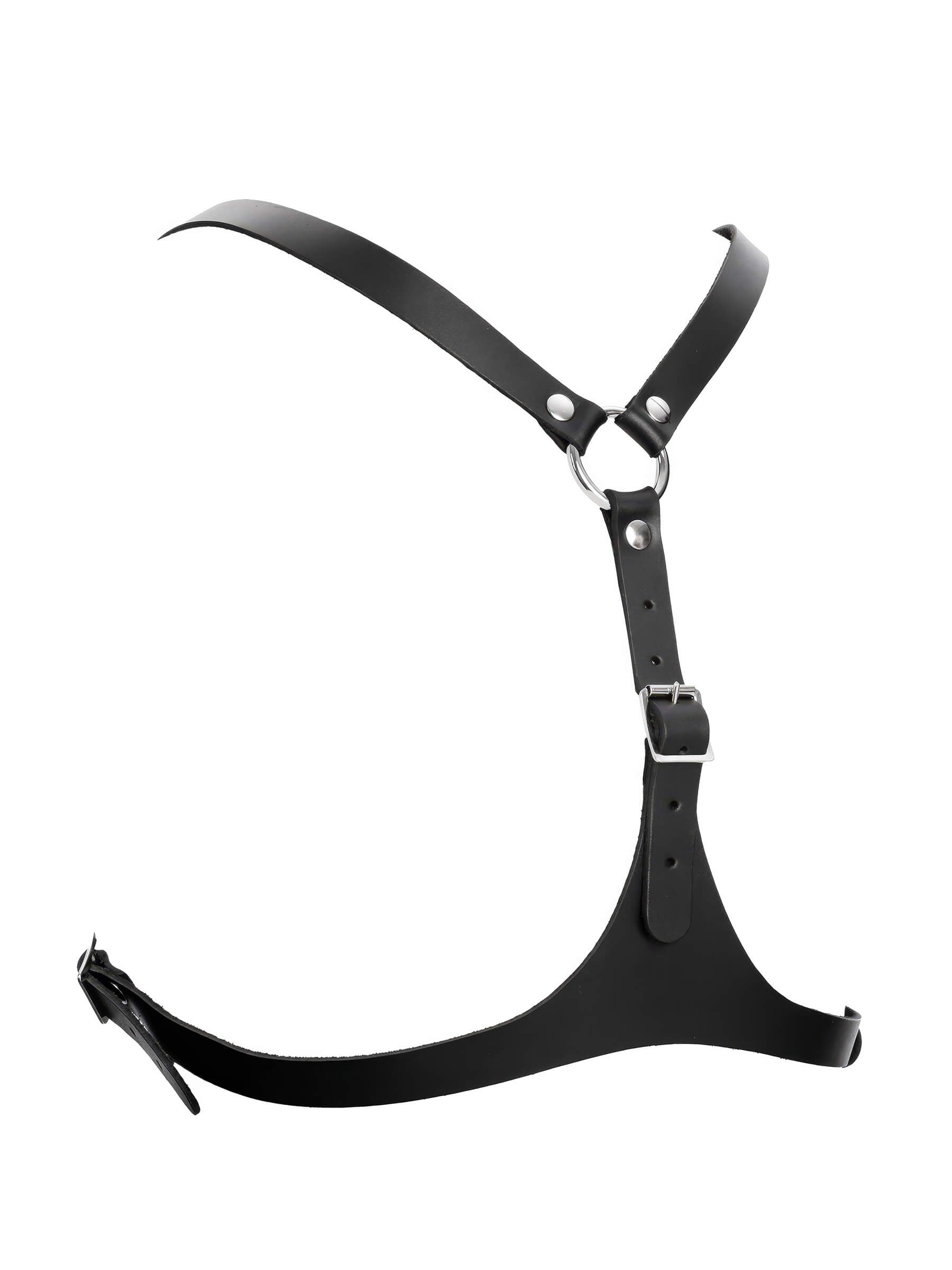 Leder Brustharness mit Halsband – Schwarz