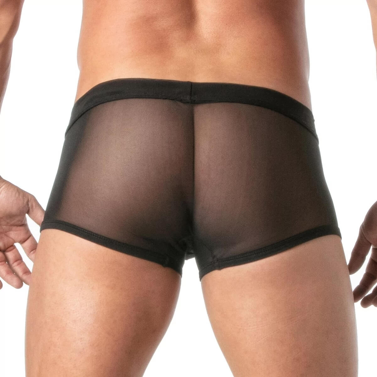 Transparenter Herren Panty