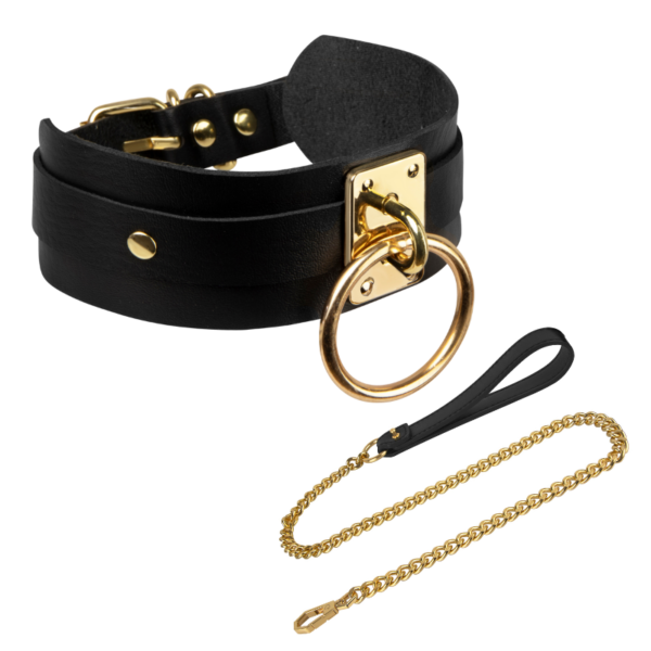 Faux leather collar and leash