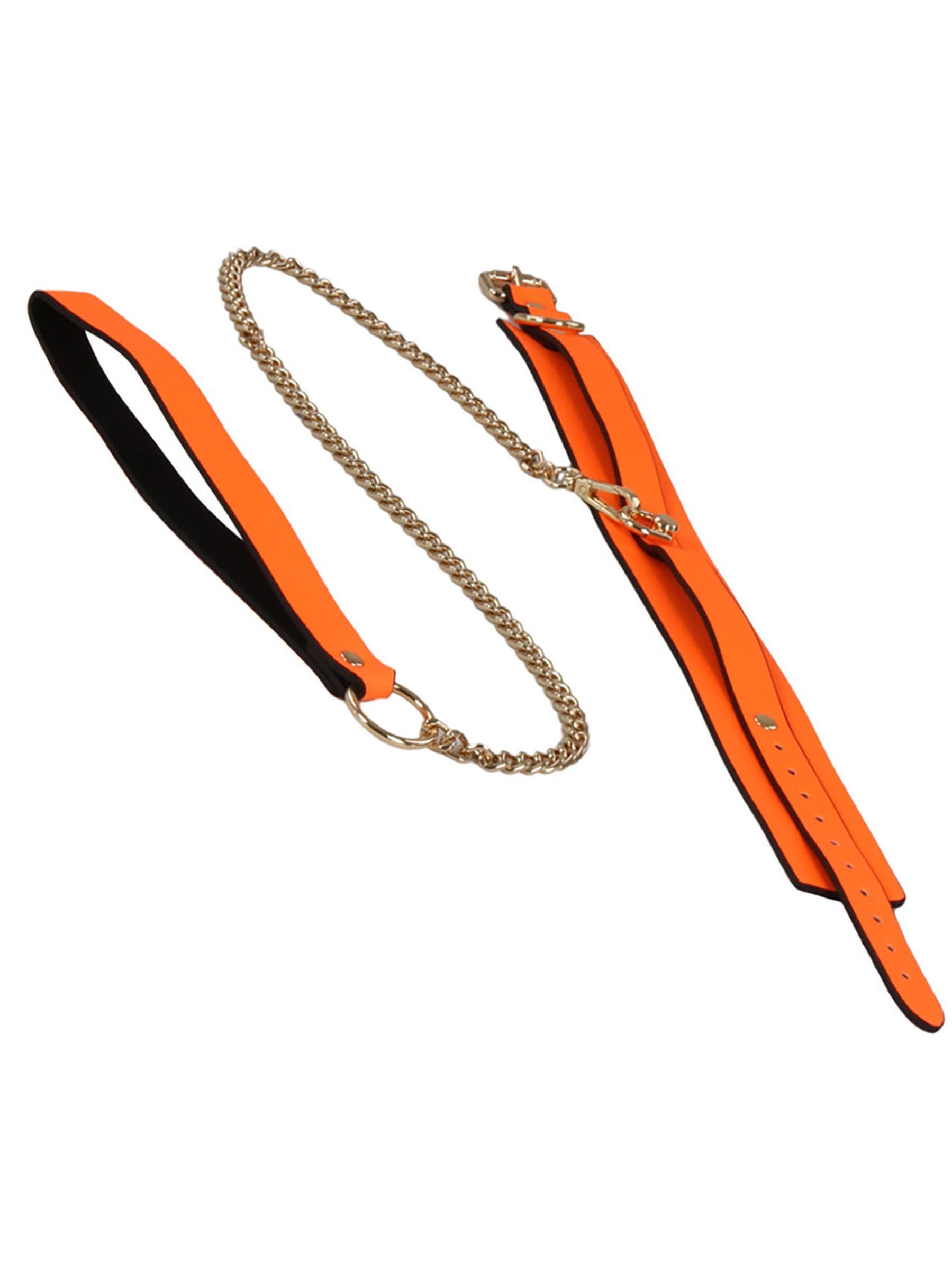 Phosphoreszierendes Halsband und Leine.