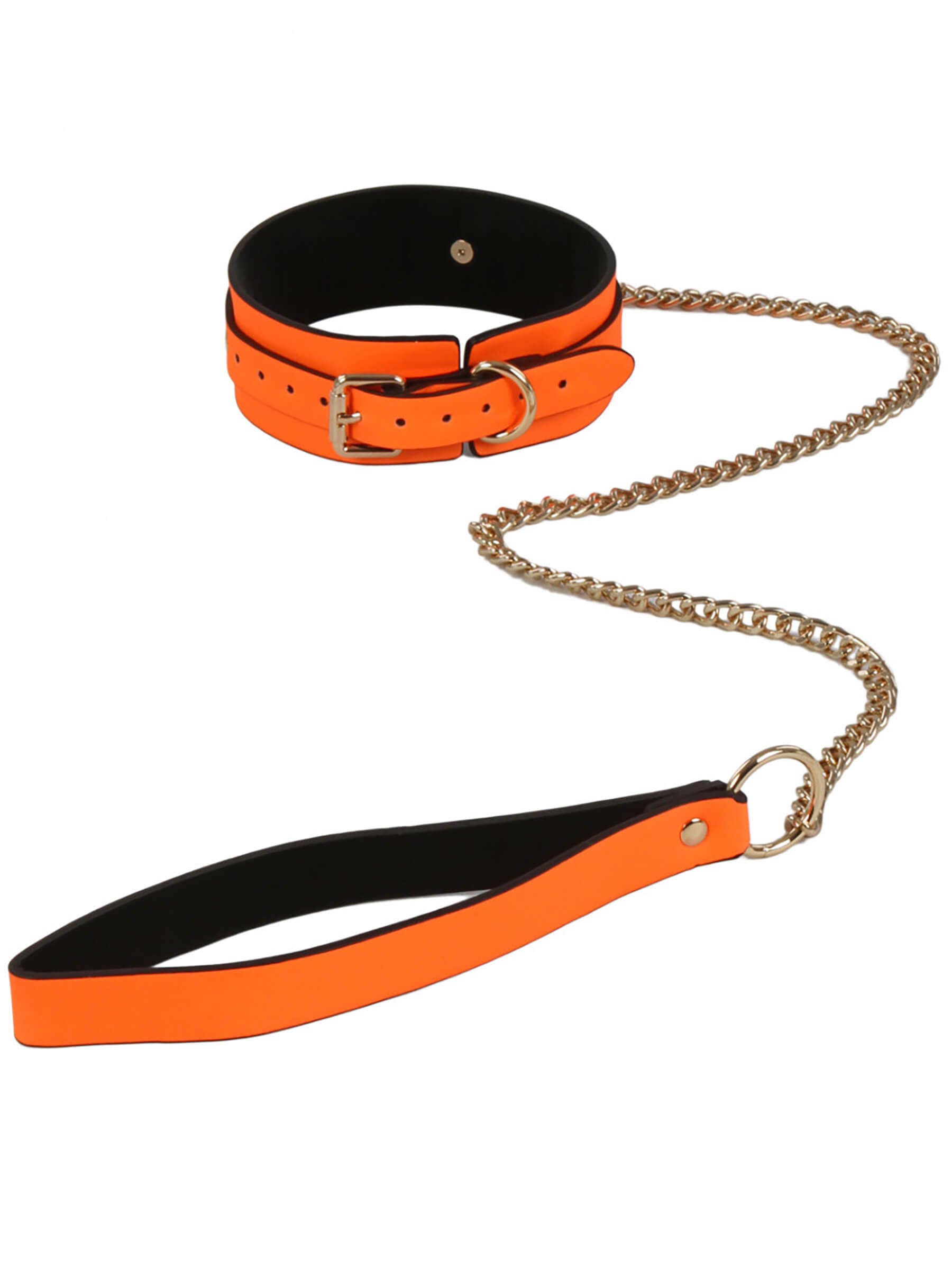 Phosphoreszierendes Halsband und Leine.