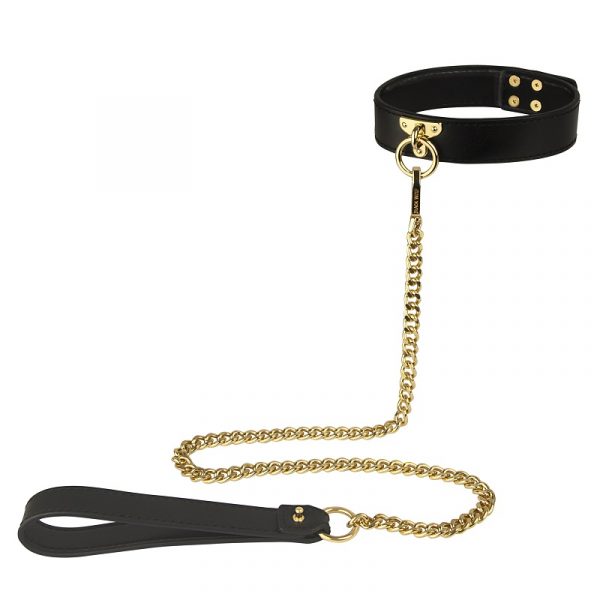 Faux leather collar & leash