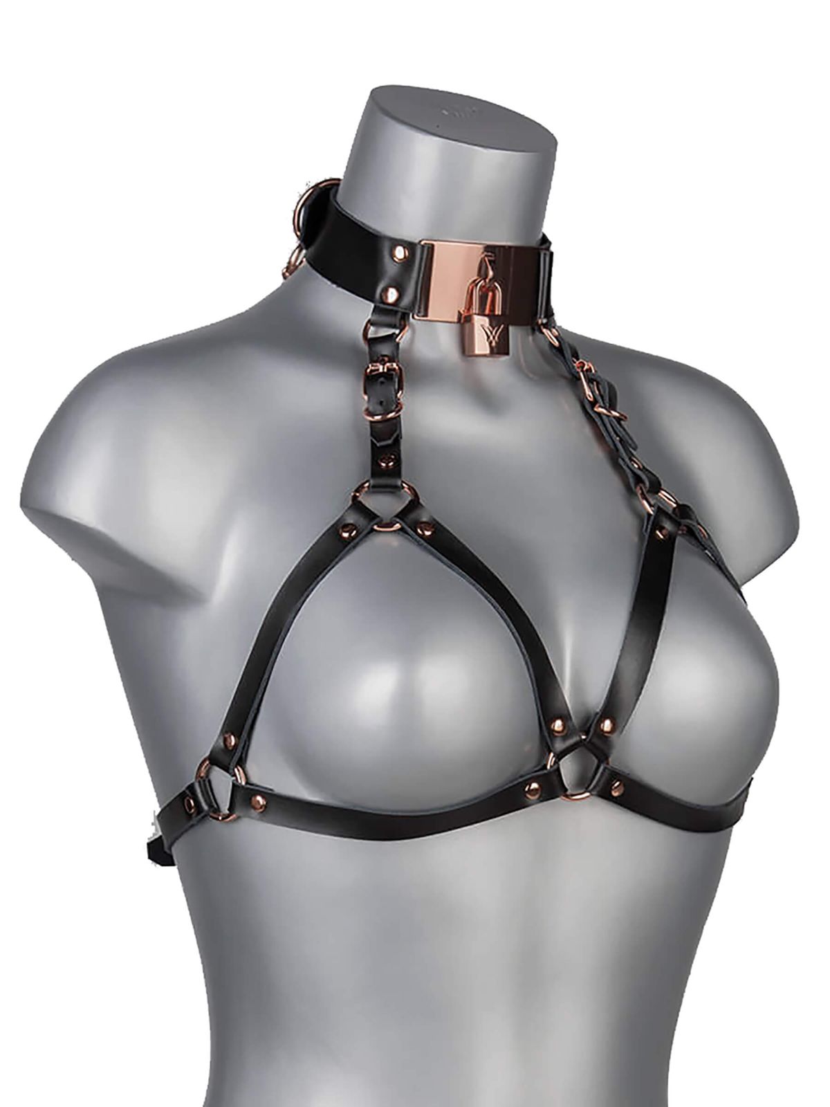 Echt Leder Harness Lock TOP