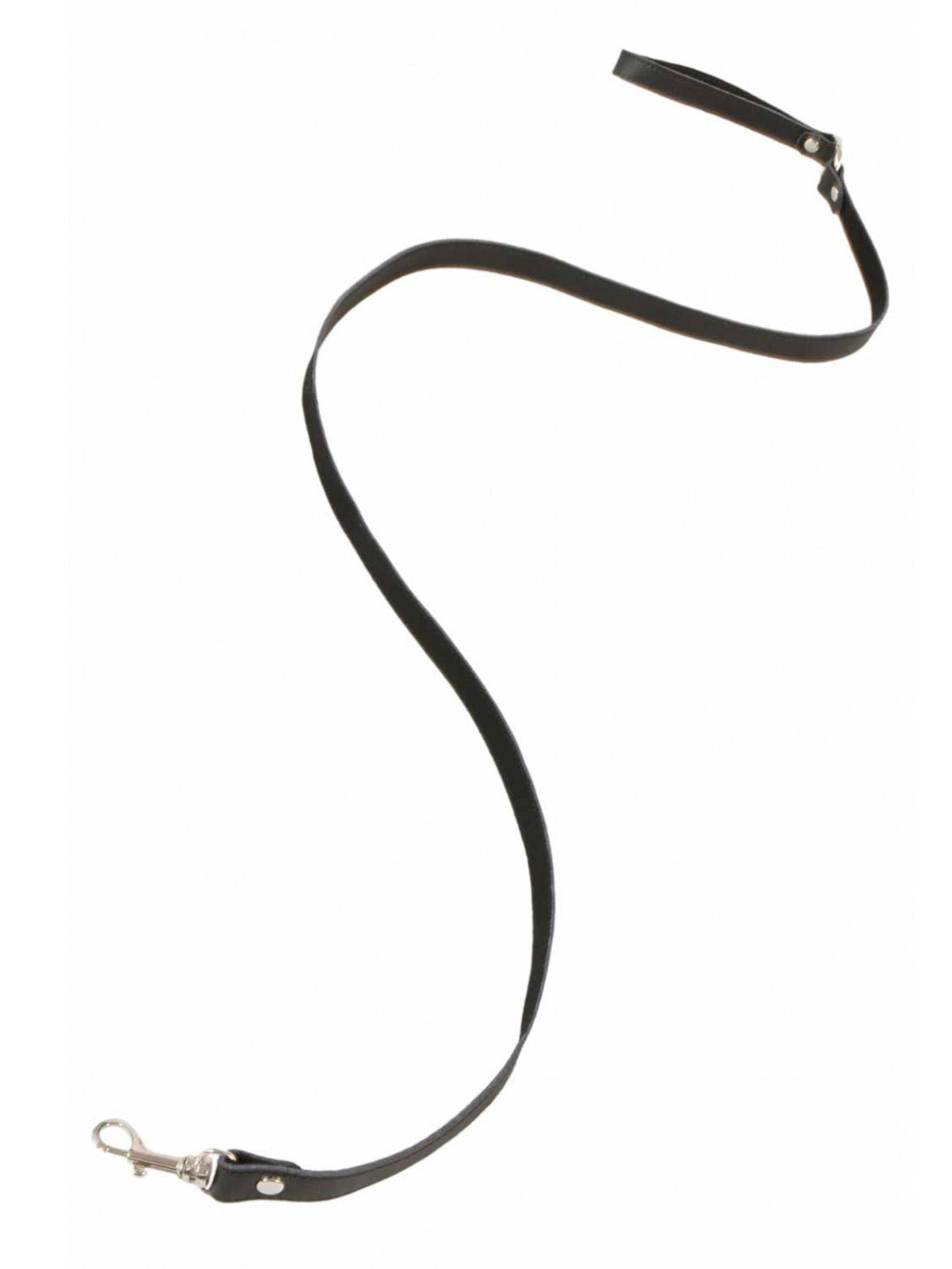 Black leash