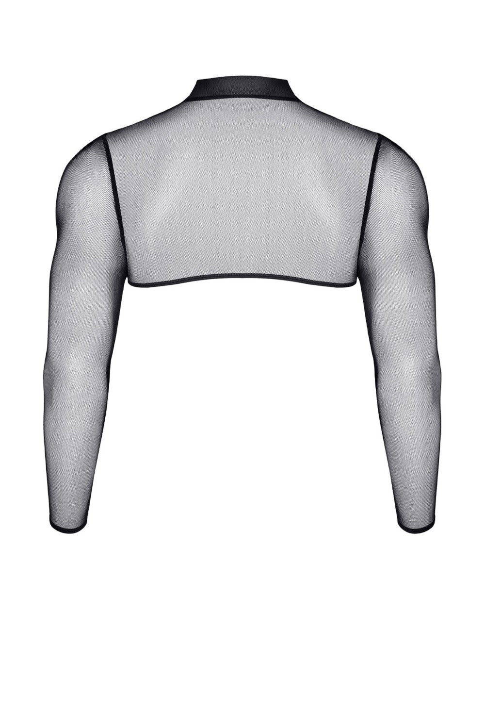 Short top with long sleeves