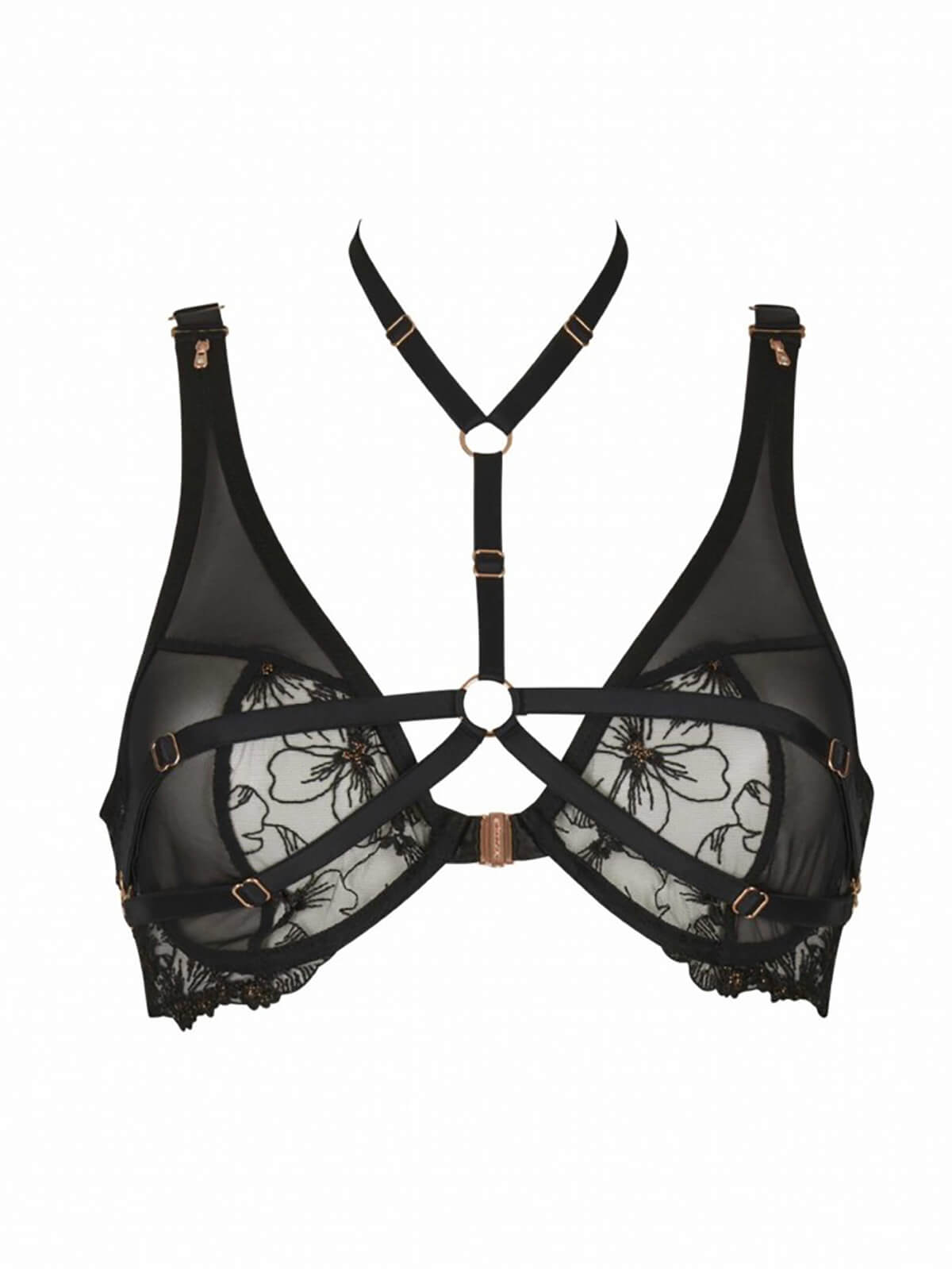 Ivy bra & harness