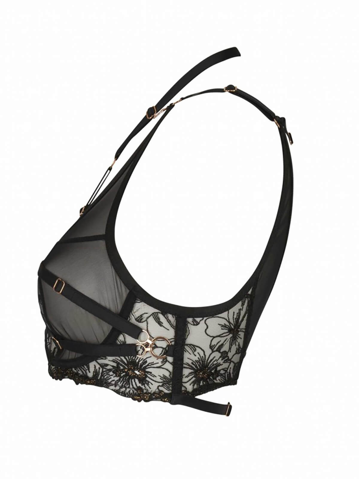 Ivy bra & harness