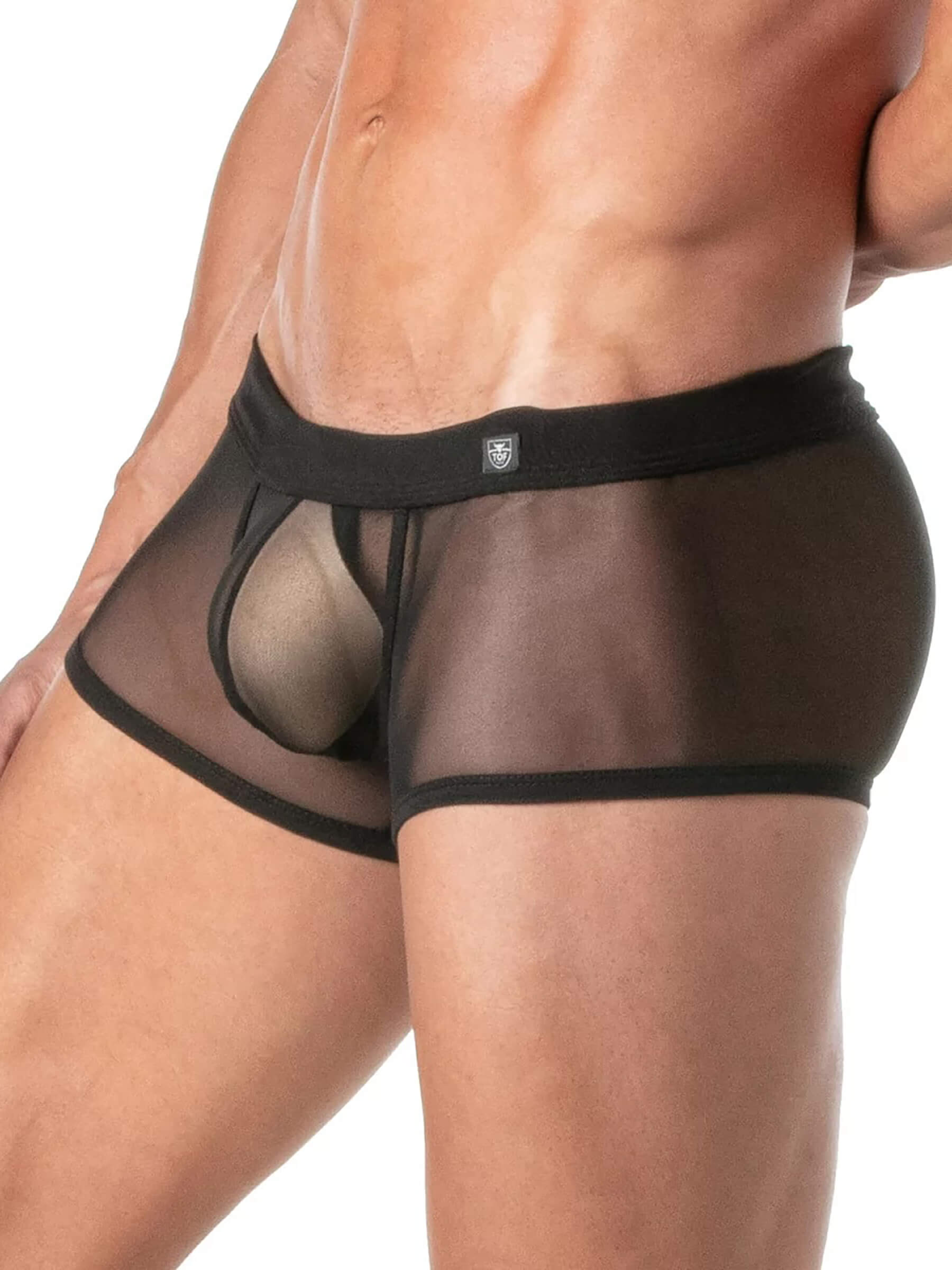 Transparenter Herren Panty