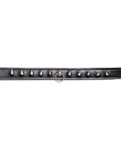 Leder Spike Halsband Schwarz