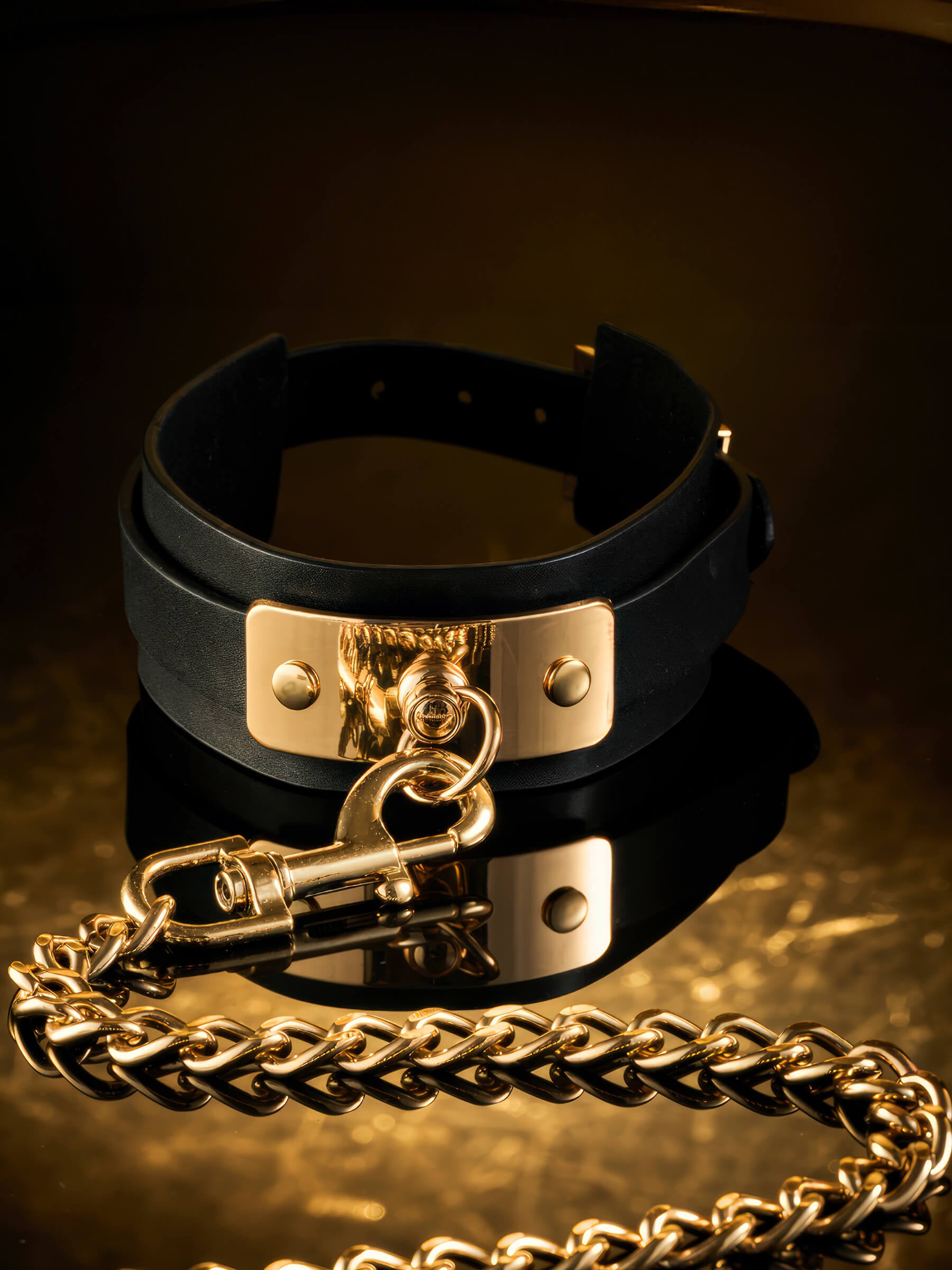 VEGAS – Faux leather collar with O-ring &amp; leash