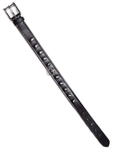 Leder Spike Halsband Schwarz